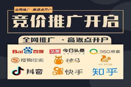 揭秘百度竞价排名：实战案例解析